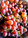 Raw black organic grapes fruit from India farm Royalty Free Stock Photo