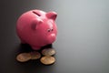 Bunch of valuable bitcoins placed near ceramic pink piggy bank on gray table