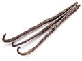 Bunch of vanilla sticks. Royalty Free Stock Photo
