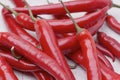 Unch of red Chilli Peppers in white background. Royalty Free Stock Photo