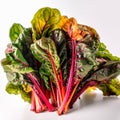 Swiss chard leaves