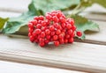 Bunch of viburnum with leaves on wooden background, fresh red berries. The concept of healthy eating. Natural organic food. Royalty Free Stock Photo