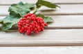 Bunch of viburnum with leaves on wooden background, fresh red berries. The concept of healthy eating. Natural organic food. Royalty Free Stock Photo