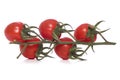 Bunch of vine tomatos cut out Royalty Free Stock Photo