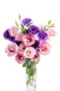 Bunch of violet and pink eustoma flowers