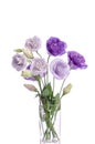 Bunch of violet and white eustoma flowers in glass vase on white