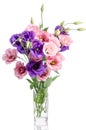 Bunch of violet, white and pink eustoma flowers in glass vase Royalty Free Stock Photo