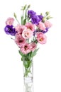 Bunch of violet, white and pink eustoma flowers Royalty Free Stock Photo