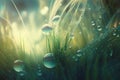 a bunch of water droplets on a grass with a sun in the backgrouund of the picture behind it and a blurry background