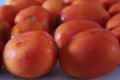 Red fresh and wet bunch of Tomato Vegetables close display Royalty Free Stock Photo