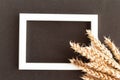 Bunch of wheat ears and photo frame on black background. Agriculture concept in minimalism style. Royalty Free Stock Photo