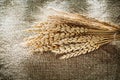 Bunch of wheat ears on sacking background Royalty Free Stock Photo
