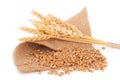 Bunch of wheat and ears on sacking Royalty Free Stock Photo