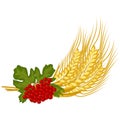 Bunch of wheat ears and viburnum twig - vector clipart. Red fruits of kalyna and ripe golden spikelets of wheat are floral symbols