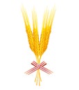 Bunch of wheat grains vector