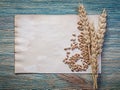 Bunch of wheat rye ears grains vintage sheet of paper on wood bo Royalty Free Stock Photo