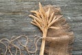 Bunch of wheat spikelets on wooden background