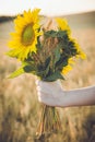 A bunch of wheat and sunflower in the hands of a girl