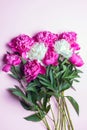 Bunch of white anf fuchsia peonies isolated on pink background. Flat lay composition, copy space, close up.