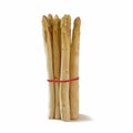 Bunch of white asparagus, fresh and organic standing isolated on Royalty Free Stock Photo