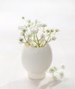 Bunch of white Baby`s Breath flowers Gypsophila in egg shell on the white wooden plank. Shallow depth of field, focus on near f