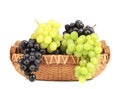 Bunch of white and black grapes in a basket. Royalty Free Stock Photo