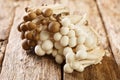 Bunch of white and brown edible beech mushrooms or Shimeji or buna and bunapi closeup on table. Horizontal Royalty Free Stock Photo