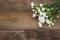 Bunch White Carnation Flower Bouquet Arrangement composition Isolated Rustic Wooden Background