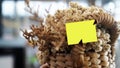 A bunch of white cream edelweiss dried flower bouquet on natural wooden basket with blank paper of yellow card for text message