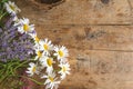 Bunch of white daisies, lavender flowers on old wooden background Royalty Free Stock Photo