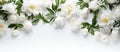 a bunch of white flowers with green leaves on a white background Royalty Free Stock Photo