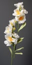 Hyper Realistic Freesia: 3d White And Yellow Flowers On Grey Background