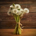Bunch white fluffy dandelions on wooden background. Royalty Free Stock Photo