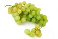 Bunch of white grapes