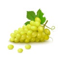 Bunch of white grapes