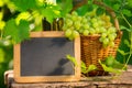 Bunch of white grapes in basket and blackboard Royalty Free Stock Photo