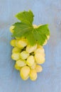 Bunch of white grapes with green leaf on blue background Royalty Free Stock Photo