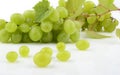 Bunch of white grapes isolated on white with vine leaves branch Royalty Free Stock Photo