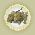 Bunch of white grapes on plate vector illustration