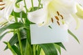 Bunch of white lilies whith blank card