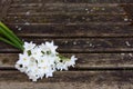 Bunch of white narcissi flowers on a rustic bench
