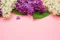 Bunch of white, pink and purple lilac flowers on a coral pink background. Close-up. Copy space.