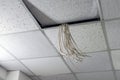A bunch of white wires hang from the suspended ceiling. Communication cables drop out between the square panels of the false