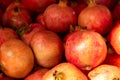 Bunch of whole ripe pomegranates, background