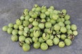 A bunch of whole wallnuts in cases new harvest Royalty Free Stock Photo