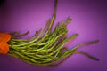 Bunch Of Wild Asparagus Royalty Free Stock Photo