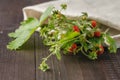 Bunch of wild strawberry on the brown wooden background Royalty Free Stock Photo