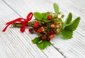 Bunch of wild strawberry Royalty Free Stock Photo