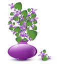 Bunch of wild violet