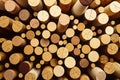 a bunch of wine corks are arranged in a circle on a table top Royalty Free Stock Photo